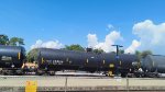 CTCX 208916